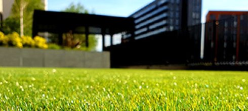Artificial grass